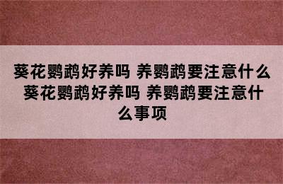 葵花鹦鹉好养吗 养鹦鹉要注意什么 葵花鹦鹉好养吗 养鹦鹉要注意什么事项